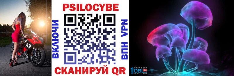 сайты даркнета как зайти  Луховицы  Галлюциногенные грибы Psilocybe 